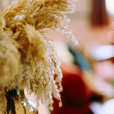 Tithe Barn, 펜션 *